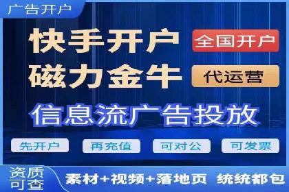 百度推广在电商领域的应用：成功提升销售额的秘诀